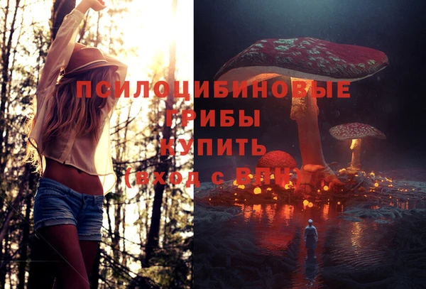 экстази Баксан