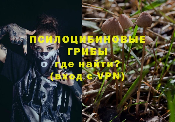 ECSTASY Балабаново